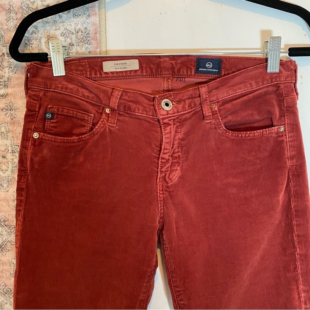 ADRIANO GOLDSCHMIED The Stevie Slim Straight Corderoys Rust 27R - Picture 4 of 10